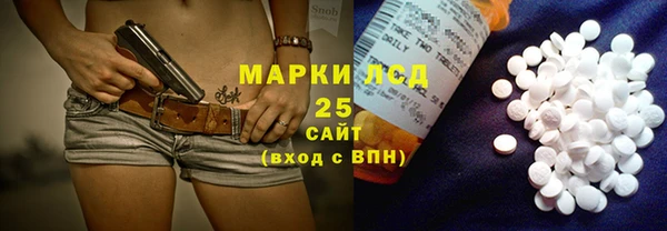 дживик Пересвет