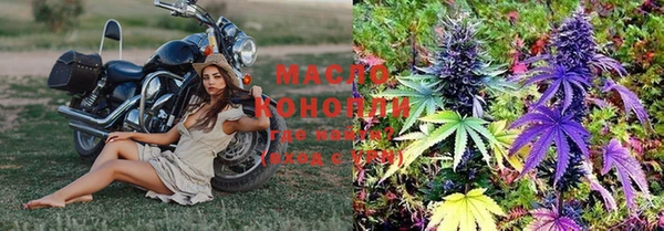 дживик Пересвет