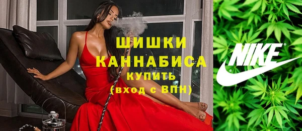 дживик Пересвет
