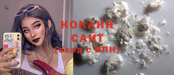 дживик Пересвет