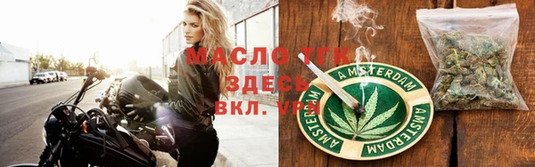 дживик Пересвет