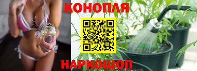 mix Кингисепп