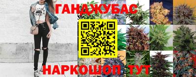 mdpv Кимры